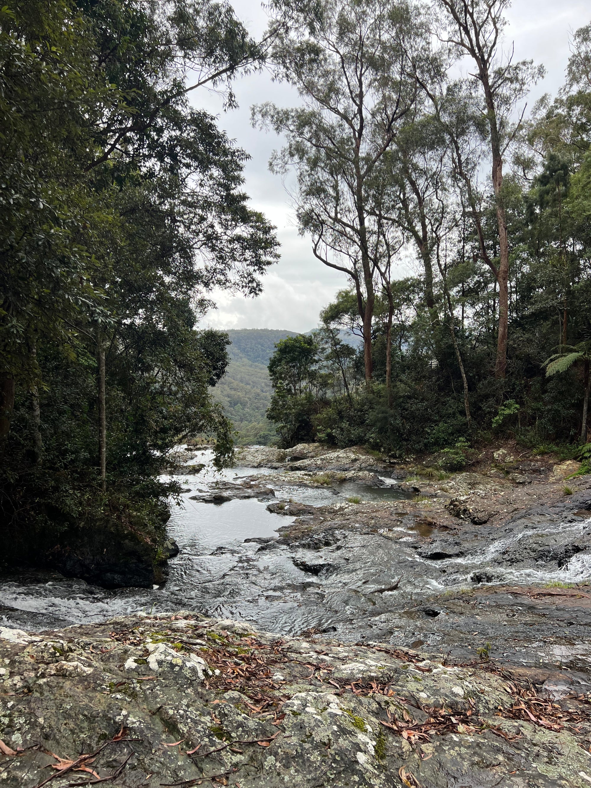The Power of Your Breath