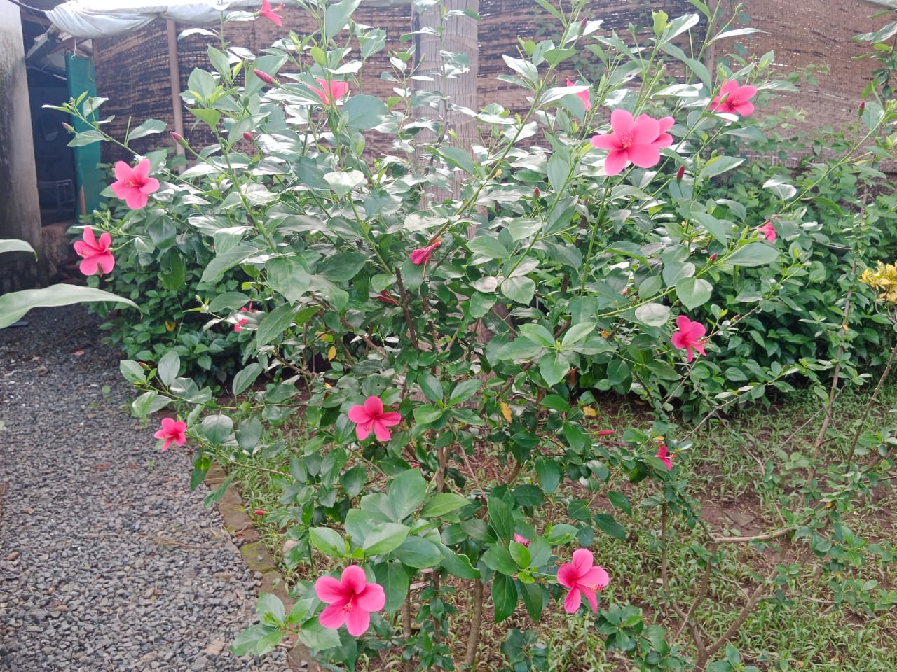 What Is the Aura / Human Energy Field?